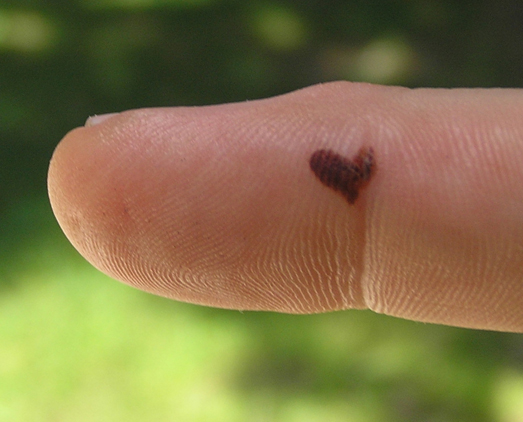 Heart shaped hands tattoo