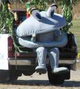Clam mascot