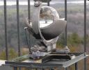 Observatory sunlight device