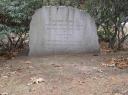O’Neill Stone