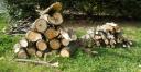 maple logs